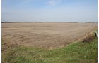 Property photo 6 - 312 Acres Offered in 2 Tracts