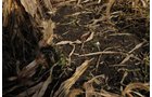 Property photo 14 - 312 Acres Offered in 2 Tracts
