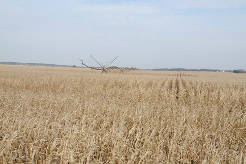 Property photo 39 - 312 Acres Offered in 2 Tracts