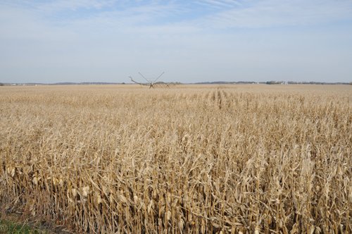 Property photo 69 - 312 Acres Offered in 2 Tracts