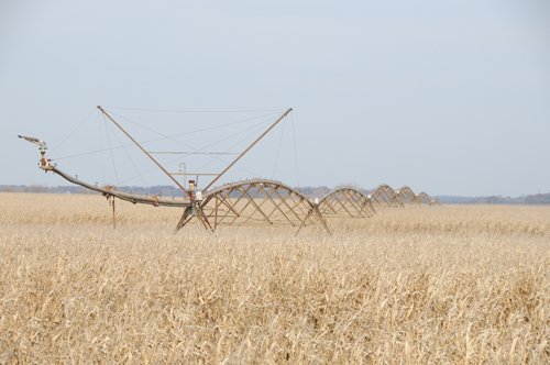 Property photo 40 - 312 Acres Offered in 2 Tracts