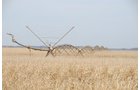 Property photo 40 - 312 Acres Offered in 2 Tracts