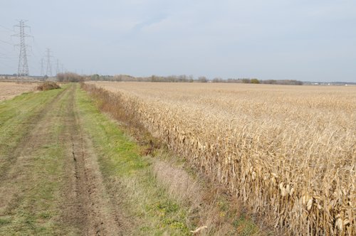 Property photo 21 - 312 Acres Offered in 2 Tracts