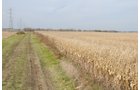 Property photo 21 - 312 Acres Offered in 2 Tracts