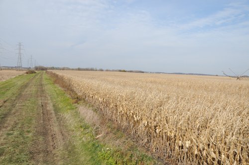 Property photo 33 - 312 Acres Offered in 2 Tracts