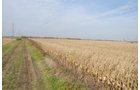 Property photo 33 - 312 Acres Offered in 2 Tracts