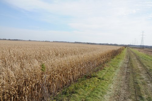 Property photo 59 - 312 Acres Offered in 2 Tracts