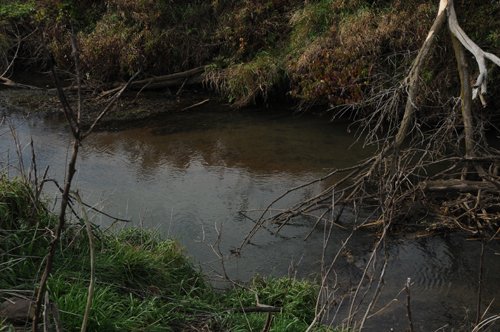 Property photo 45 - 312 Acres Offered in 2 Tracts