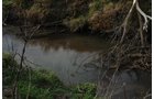 Property photo 45 - 312 Acres Offered in 2 Tracts