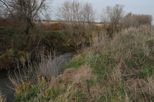 Property photo 97 - 312 Acres Offered in 2 Tracts