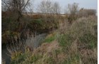 Property photo 97 - 312 Acres Offered in 2 Tracts