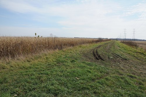 Property photo 73 - 312 Acres Offered in 2 Tracts