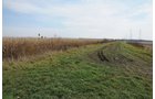 Property photo 73 - 312 Acres Offered in 2 Tracts