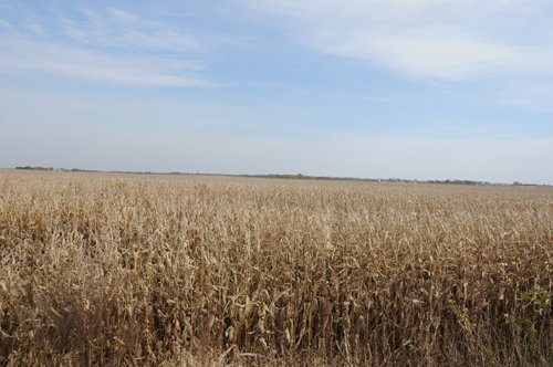 Property photo 94 - 312 Acres Offered in 2 Tracts