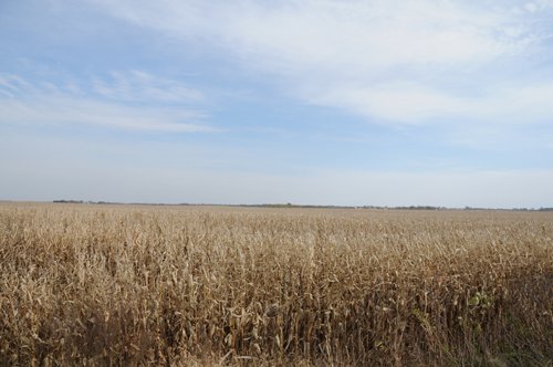 Property photo 41 - 312 Acres Offered in 2 Tracts