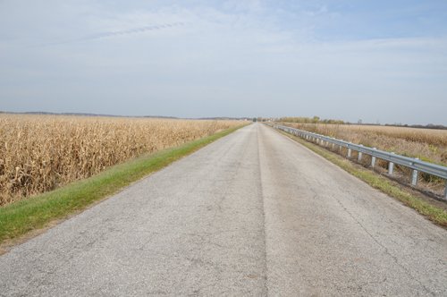 Property photo 19 - 312 Acres Offered in 2 Tracts