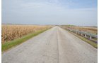 Property photo 19 - 312 Acres Offered in 2 Tracts