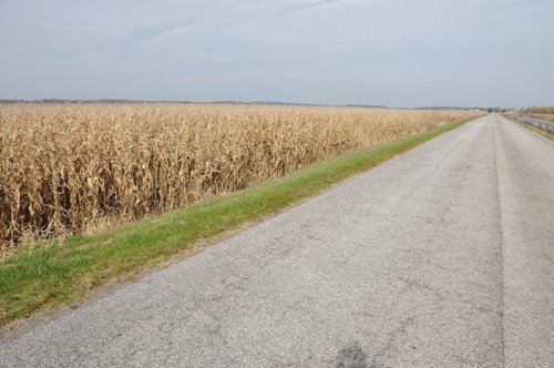 Property photo 46 - 312 Acres Offered in 2 Tracts