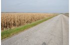 Property photo 46 - 312 Acres Offered in 2 Tracts