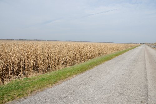 Property photo 82 - 312 Acres Offered in 2 Tracts