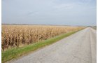 Property photo 82 - 312 Acres Offered in 2 Tracts