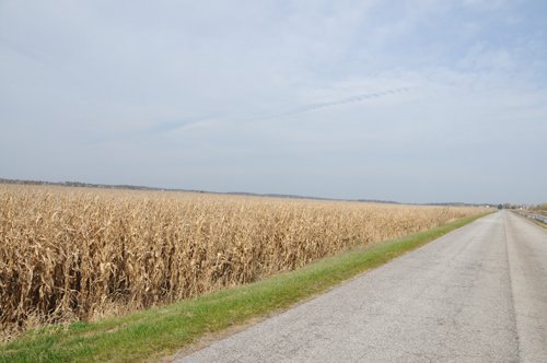 Property photo 29 - 312 Acres Offered in 2 Tracts