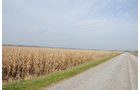 Property photo 29 - 312 Acres Offered in 2 Tracts