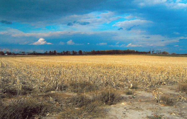 57+/- Acres Land Auction