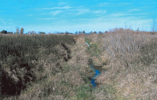 Property photo 2 - 57+/- Acres Land Auction