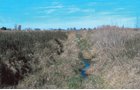 Property photo 2 - 57+/- Acres Land Auction
