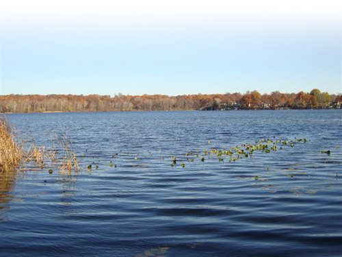 Property photo 1 - Lakefront Real Estate Auction