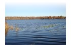 Property photo 1 - Lakefront Real Estate Auction