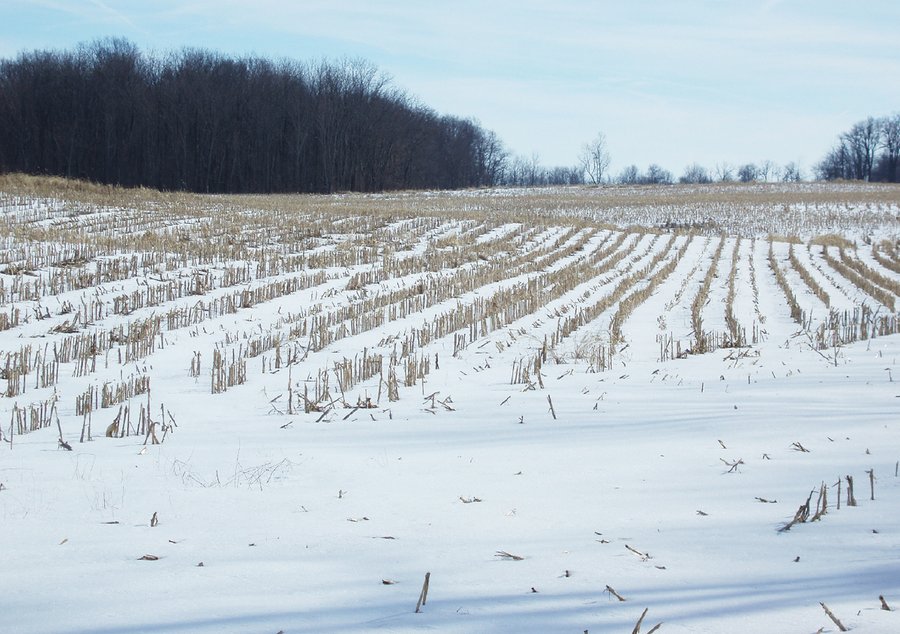 For sale: 75+/- Acre Grain Farm - North of Richmond, IN