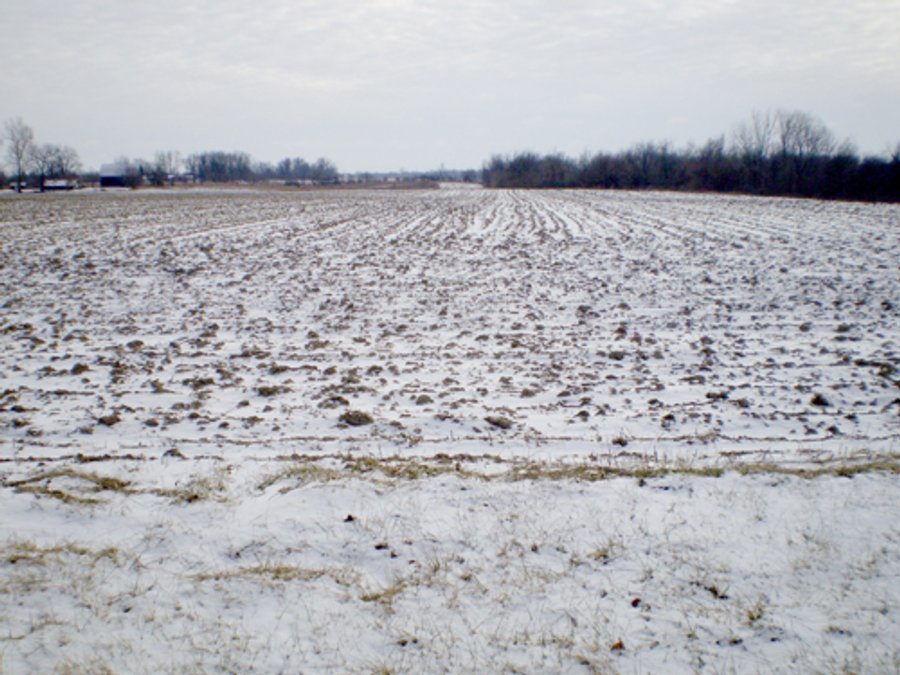 For sale: Grain Farm