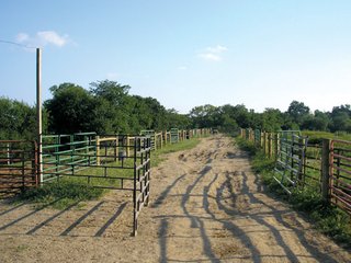  280+/- Acres Cropland
<br> 30+/- Acres Improved Pasture
<br> All New Fence & Water System 
<br> Tenants Rights Available for 2011
<br> 50+/- Acres Woods Along Scenic White Water River
<br> Beautiful Remodeled Brick Victorian Farm Home
<br> Recreation Land with Water
<br> Connersville Airport 3 Miles South
<br> Excellent Livestock Barns & Herdsman House
<br> $1,600,000 List Price
<br> Turn Key Equipment & Cattle Available Separately
<br> Buyer will Participate in 1031 Tax Exchange
<br> 60 Miles East of Indianapolis
<br> 4 Miles North of Connersville
<br> 15 Miles South of Richmond
<br> 40 Miles West of Dayton, OH
<br> 10 Miles South of I-70 - 382 Acres For Sale - Deluxe Livestock/Grain Farm