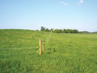  280+/- Acres Cropland
<br> 30+/- Acres Improved Pasture
<br> All New Fence & Water System 
<br> Tenants Rights Available for 2011
<br> 50+/- Acres Woods Along Scenic White Water River
<br> Beautiful Remodeled Brick Victorian Farm Home
<br> Recreation Land with Water
<br> Connersville Airport 3 Miles South
<br> Excellent Livestock Barns & Herdsman House
<br> $1,600,000 List Price
<br> Turn Key Equipment & Cattle Available Separately
<br> Buyer will Participate in 1031 Tax Exchange
<br> 60 Miles East of Indianapolis
<br> 4 Miles North of Connersville
<br> 15 Miles South of Richmond
<br> 40 Miles West of Dayton, OH
<br> 10 Miles South of I-70 - 382 Acres For Sale - Deluxe Livestock/Grain Farm