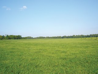  280+/- Acres Cropland
<br> 30+/- Acres Improved Pasture
<br> All New Fence & Water System 
<br> Tenants Rights Available for 2011
<br> 50+/- Acres Woods Along Scenic White Water River
<br> Beautiful Remodeled Brick Victorian Farm Home
<br> Recreation Land with Water
<br> Connersville Airport 3 Miles South
<br> Excellent Livestock Barns & Herdsman House
<br> $1,600,000 List Price
<br> Turn Key Equipment & Cattle Available Separately
<br> Buyer will Participate in 1031 Tax Exchange
<br> 60 Miles East of Indianapolis
<br> 4 Miles North of Connersville
<br> 15 Miles South of Richmond
<br> 40 Miles West of Dayton, OH
<br> 10 Miles South of I-70 - 382 Acres For Sale - Deluxe Livestock/Grain Farm