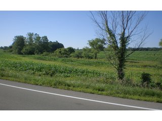- Approximately 50.2 acres cropland.
- Approx. 15 acres pasture/woods.  Great place for pond.
- 3 Acre building lot on Highway 40 with 30' x 50' metal pole barn, double crib.
- 1,258 Ft. of frontage on US Hwy. 40.
- Cropland lease @ $140/acre in 2011.
- Across from Carter Lumber.
- Centerville Schools.  - 68+/- Acre Farm