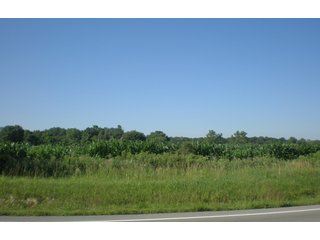 - Approximately 50.2 acres cropland.
- Approx. 15 acres pasture/woods.  Great place for pond.
- 3 Acre building lot on Highway 40 with 30' x 50' metal pole barn, double crib.
- 1,258 Ft. of frontage on US Hwy. 40.
- Cropland lease @ $140/acre in 2011.
- Across from Carter Lumber.
- Centerville Schools.  - 68+/- Acre Farm