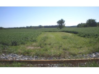 Nice combination of cropland investment and recreation use with good location near state highways.

- Approx. 58.2 acres cropland
- Approx. 5.1 acres in CRP with payment of $886/yr.
- 26.7 acres nice woodland for hunting and recreation
- Approx. 634 feet of frontage on 1200W
- Subject to CRP waterway contracts with USDA expiring 9/30/20
- Possession subject to 2011 crop rights
- Available for 2012 crop rights
- - 90+/- Acre Farm
