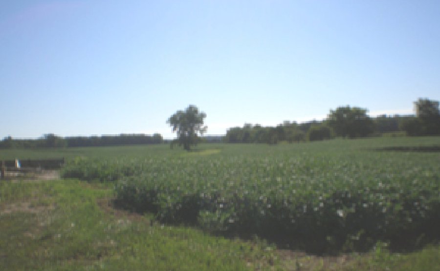 For sale: 90+/- Acre Farm - Losantville, IN