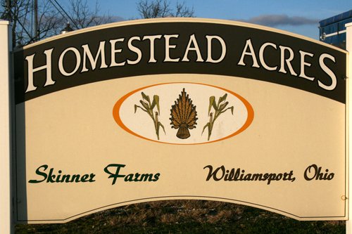 Property photo 14 - Homestead Acres Farm Equipment Auction