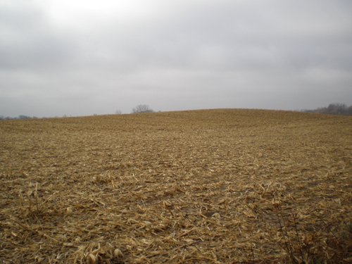 Property photo 9 - 74.45 Acres Offered in 3 Tracts - 55+/- Tillable Acres Per FSA