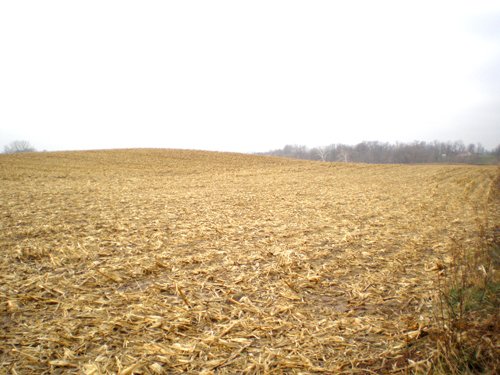Property photo 7 - 74.45 Acres Offered in 3 Tracts - 55+/- Tillable Acres Per FSA
