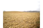 Property photo 7 - 74.45 Acres Offered in 3 Tracts - 55+/- Tillable Acres Per FSA