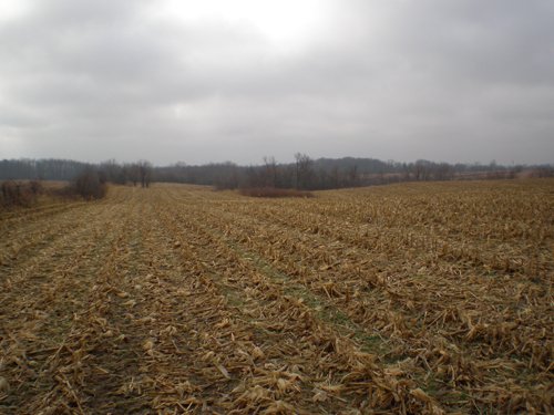 Property photo 4 - 74.45 Acres Offered in 3 Tracts - 55+/- Tillable Acres Per FSA