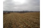 Property photo 4 - 74.45 Acres Offered in 3 Tracts - 55+/- Tillable Acres Per FSA