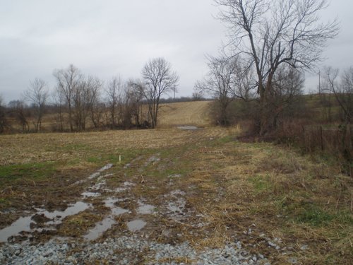 Property photo 6 - 74.45 Acres Offered in 3 Tracts - 55+/- Tillable Acres Per FSA