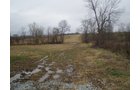 Property photo 6 - 74.45 Acres Offered in 3 Tracts - 55+/- Tillable Acres Per FSA