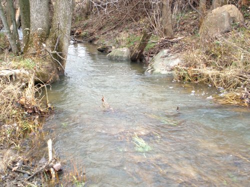 Property photo 10 - 74.45 Acres Offered in 3 Tracts - 55+/- Tillable Acres Per FSA